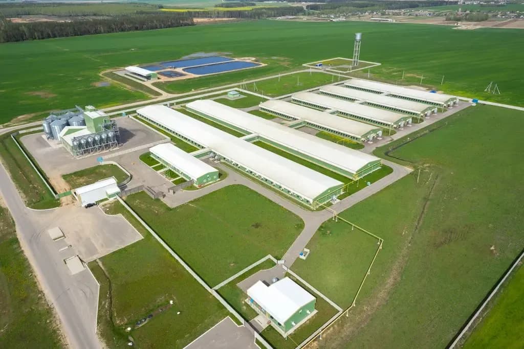 Промышленное строительство фото 3